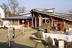 Forum Daun